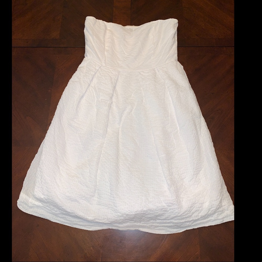 J.Crew Dress